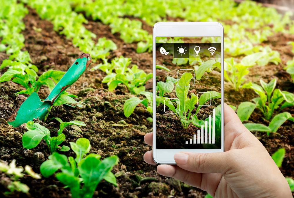 Marketing Aplicado ao Agronegócio
