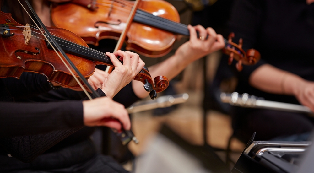 Instrumento Musical - Nível 2 - Cordas Friccionadas