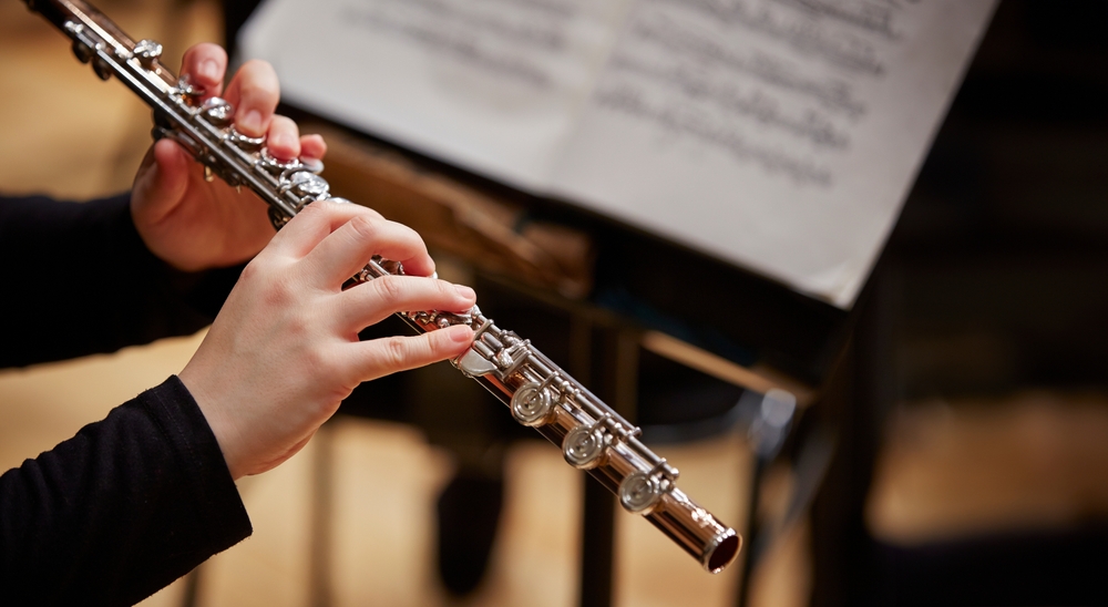 Instrumento Musical - Nível 2 - Flauta Doce