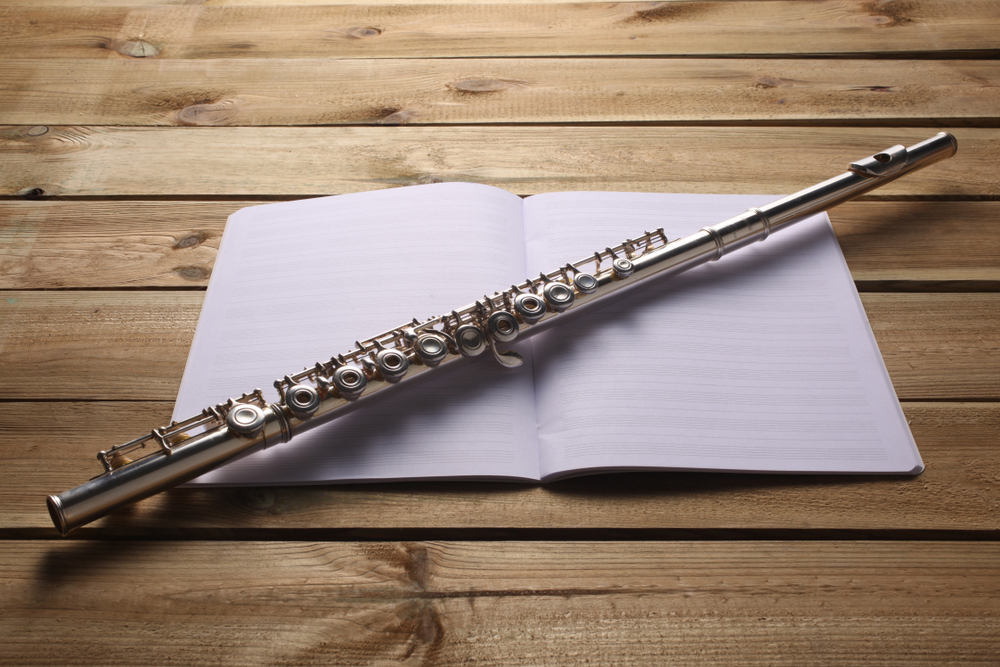 Instrumento Musical - Nível 1 - Flauta Doce