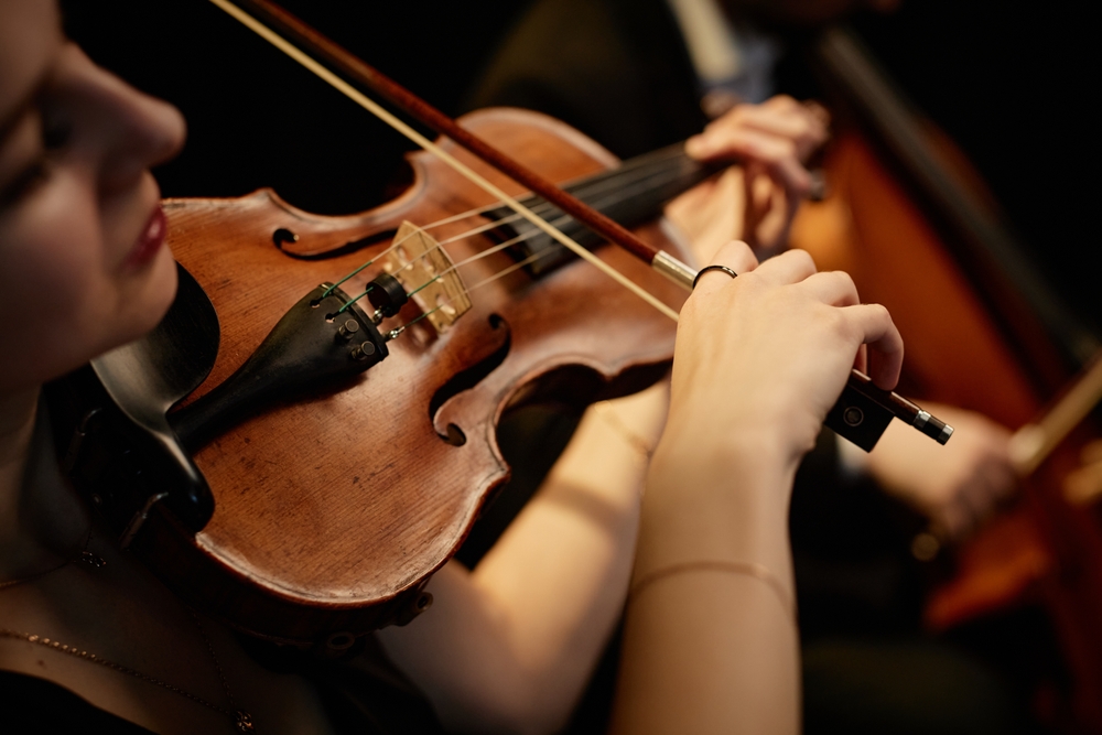 Instrumento Musical – Nível 3 – Cordas Friccionadas