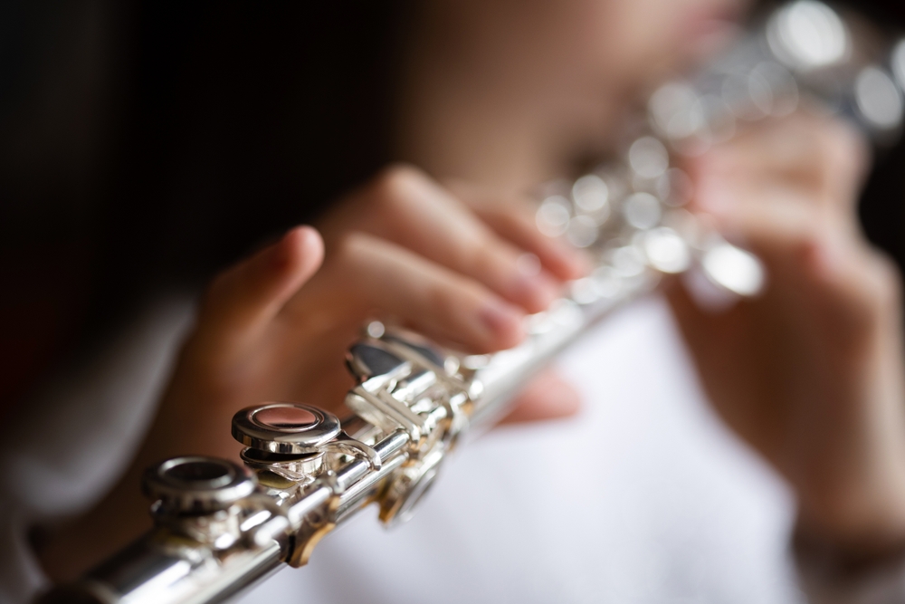 Instrumento Musical - Nível 3 - Flauta Doce