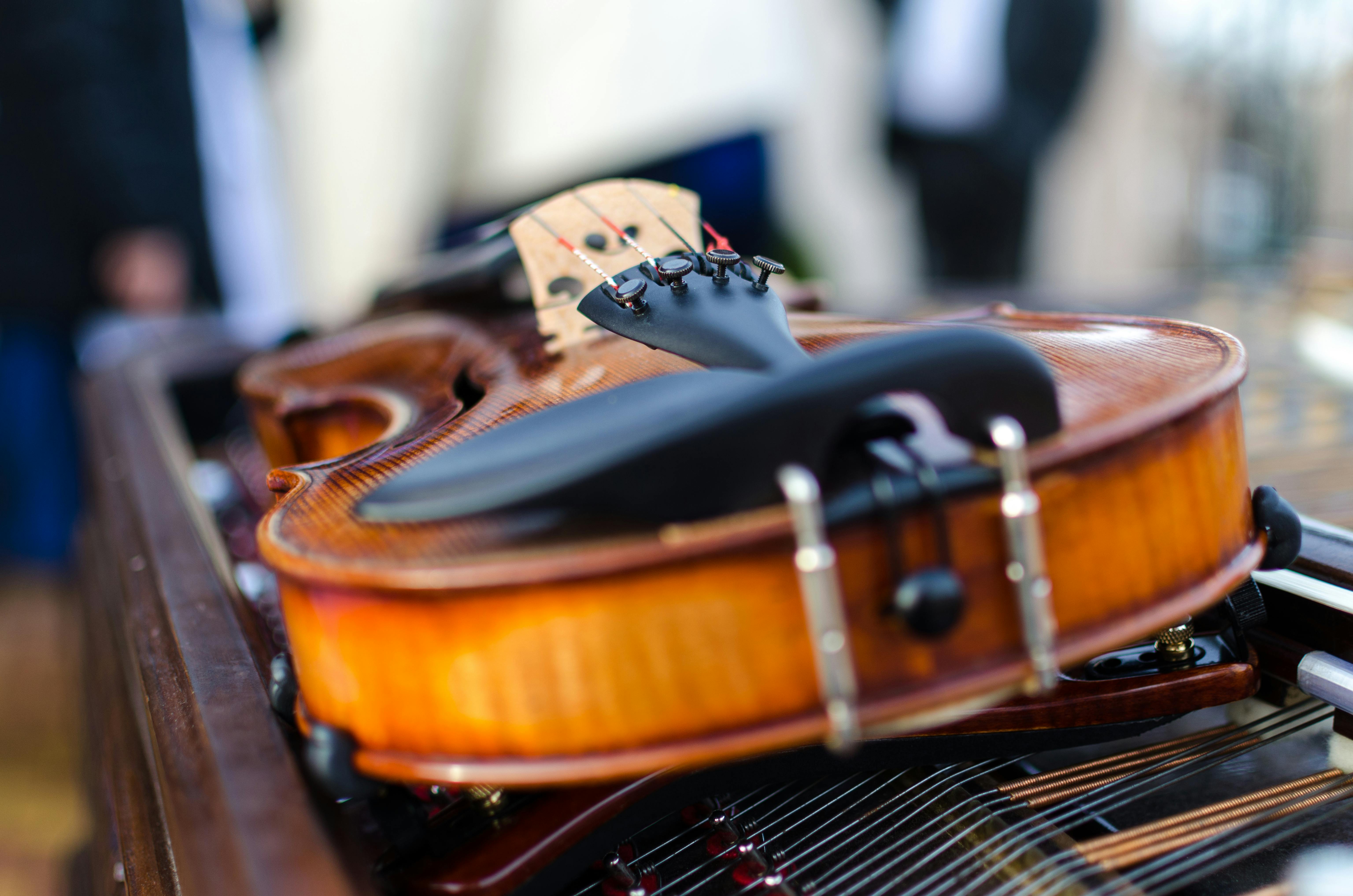 Cordas Friccionadas - Viola I